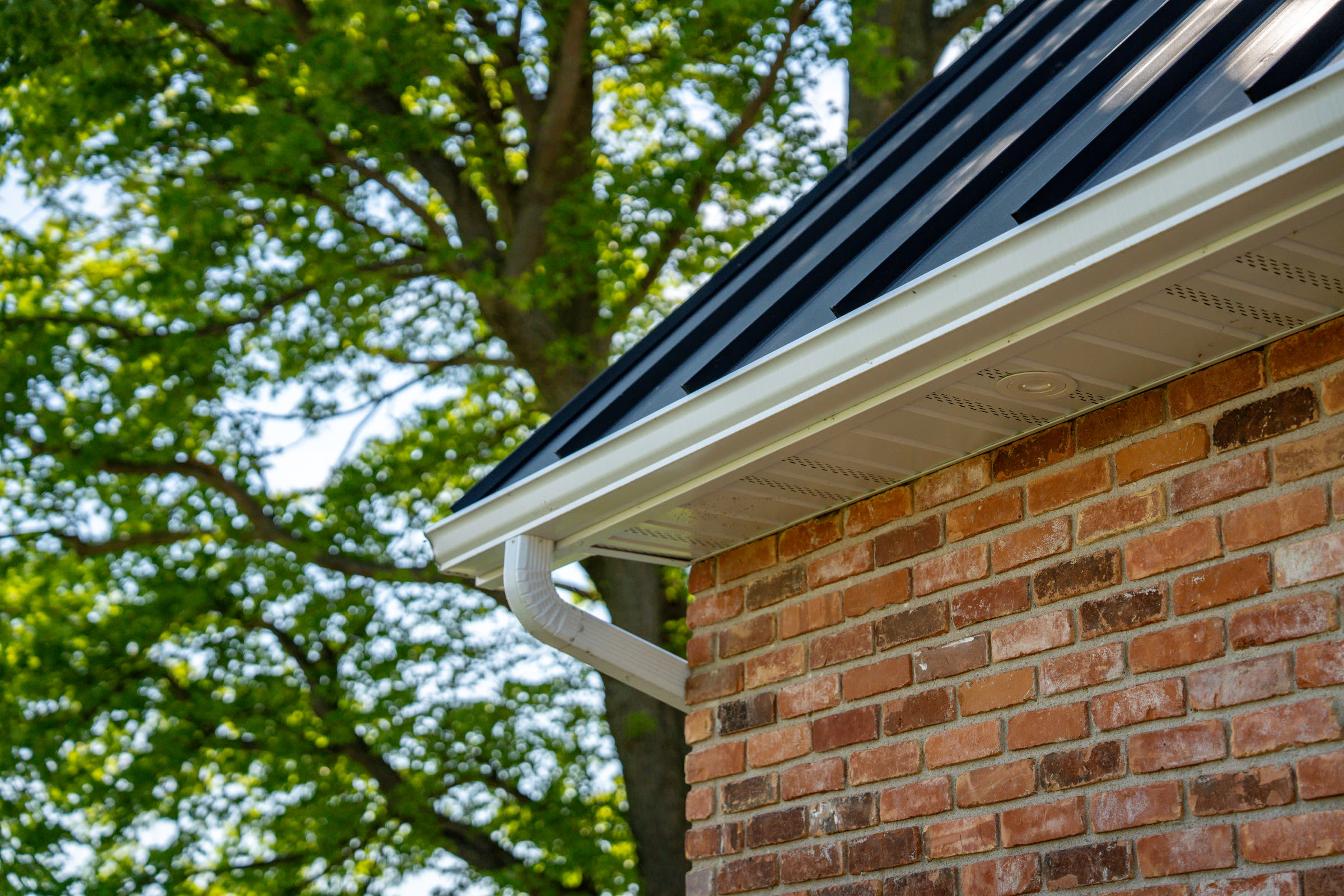 Dark SS550 SnapLock metal roof edge with white soffit and integrated exterior lighting on a Dresden Ontario home