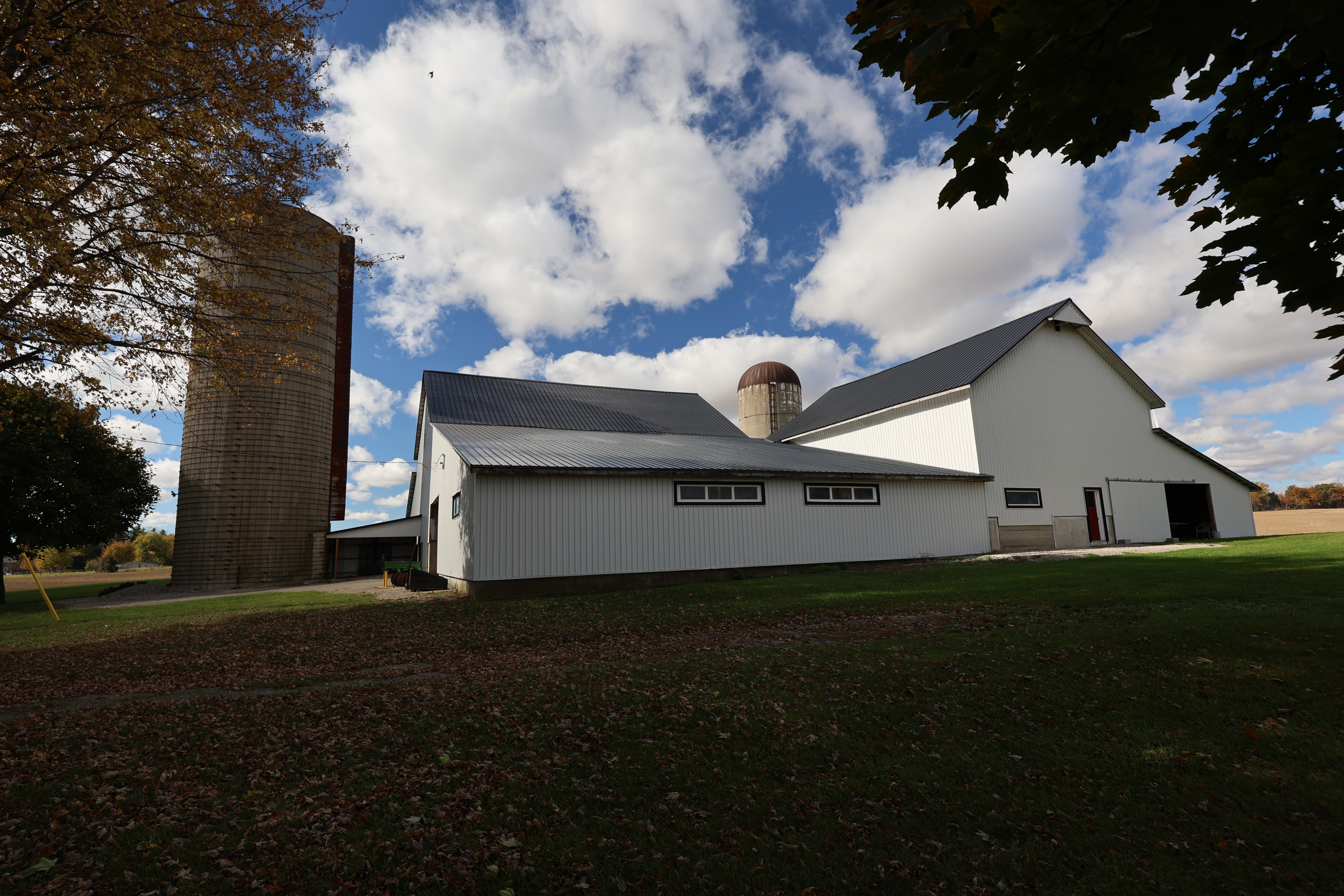 Country TowneTuff Rib and Diamond Rib1A0055