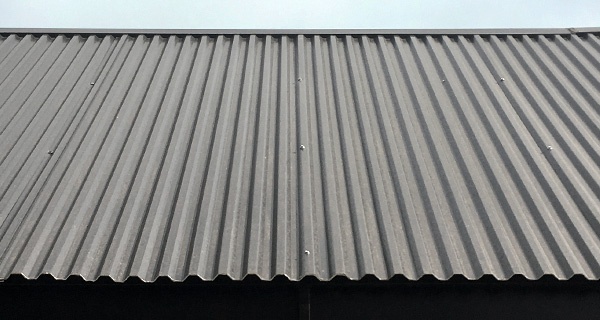 Though Fastened Metal Roof Panel