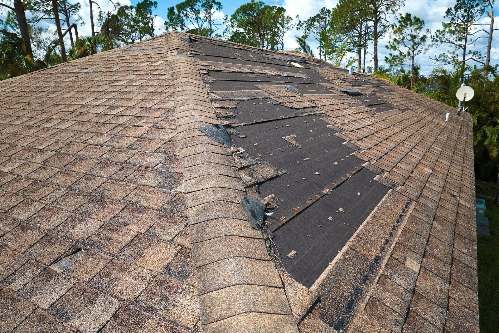 A shingle roof is damaged by strong winds.